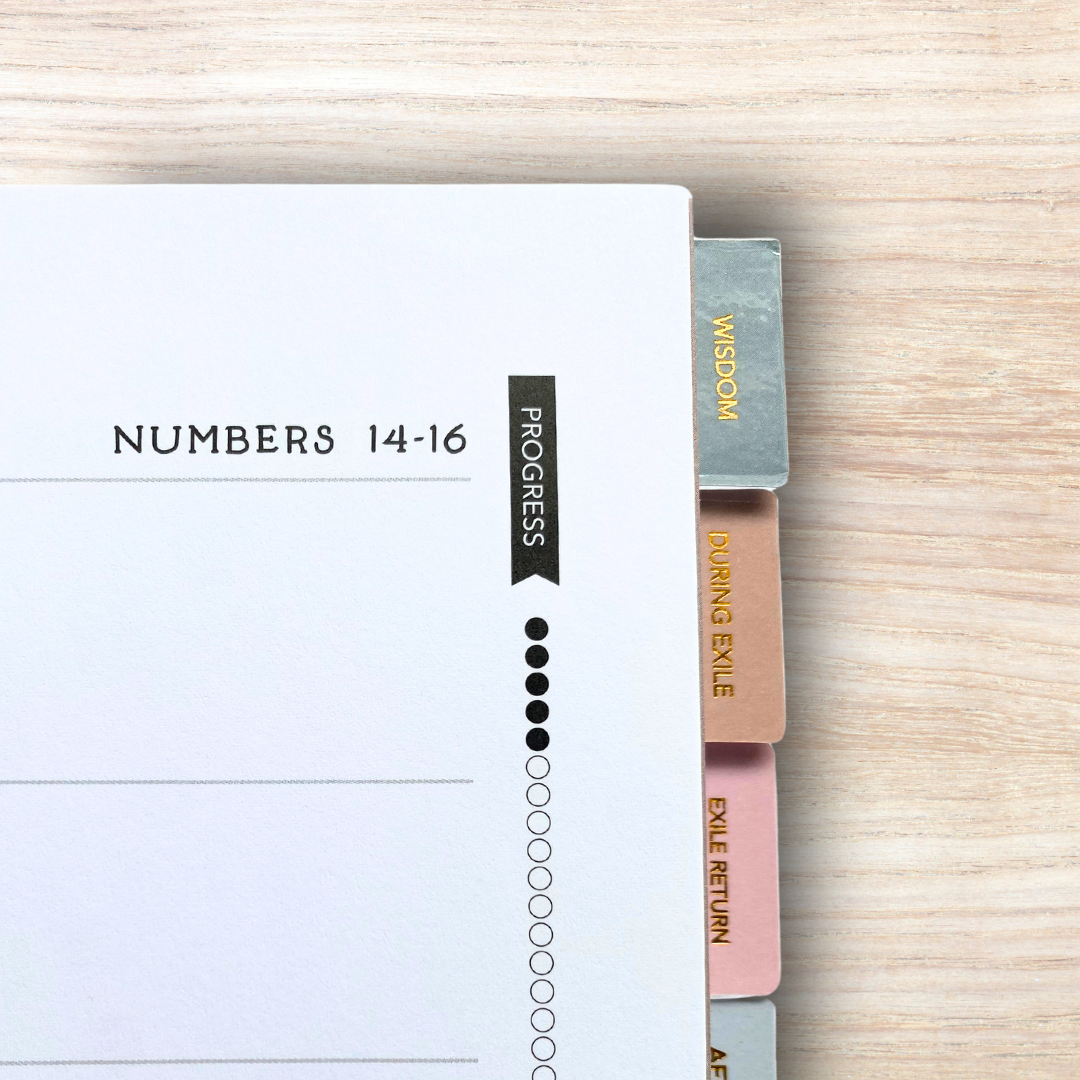 Cover to Cover Bible Journal