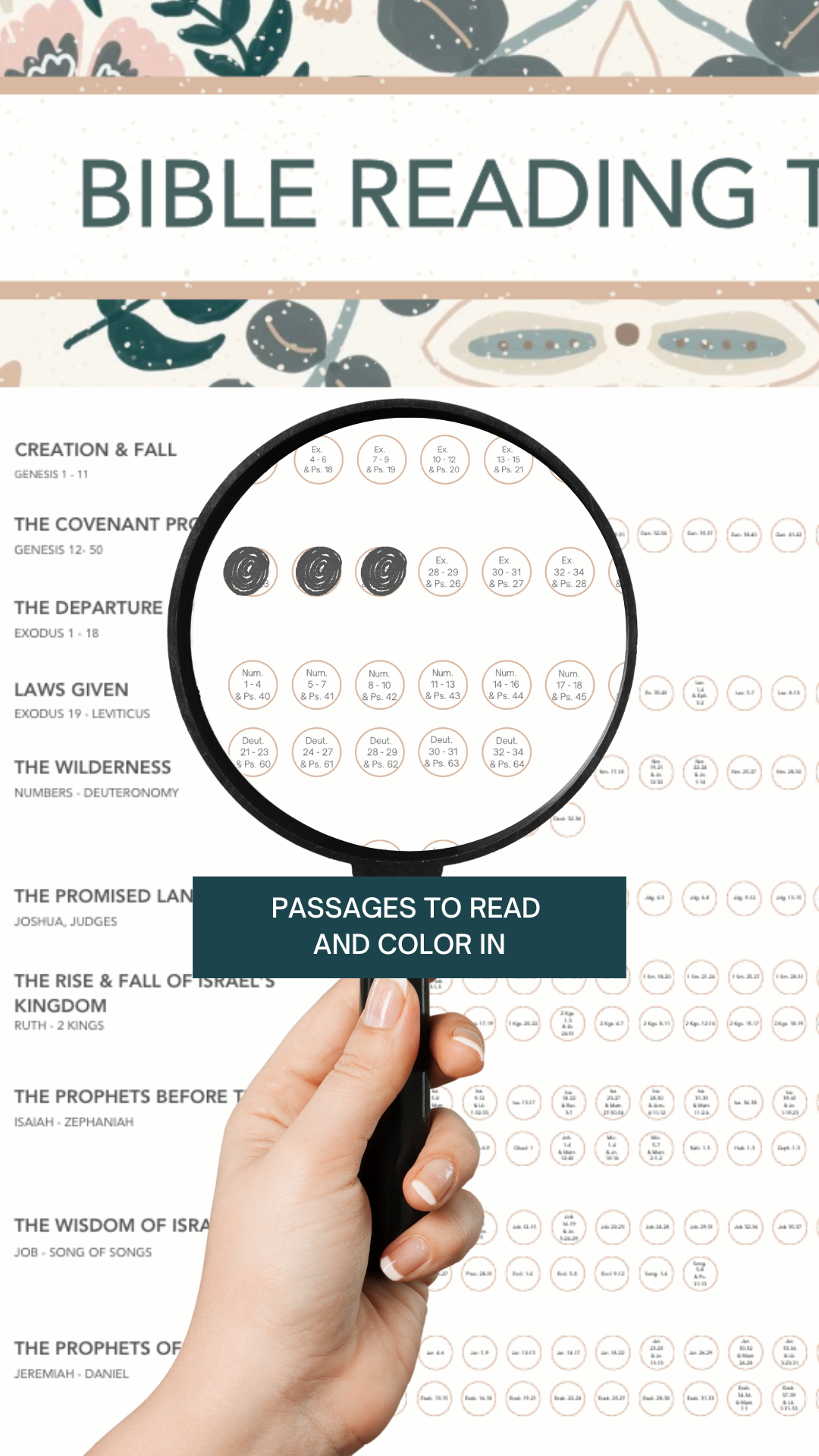 Bible Reading Tracker - 20" x 30" - PHYSICAL PRODUCT