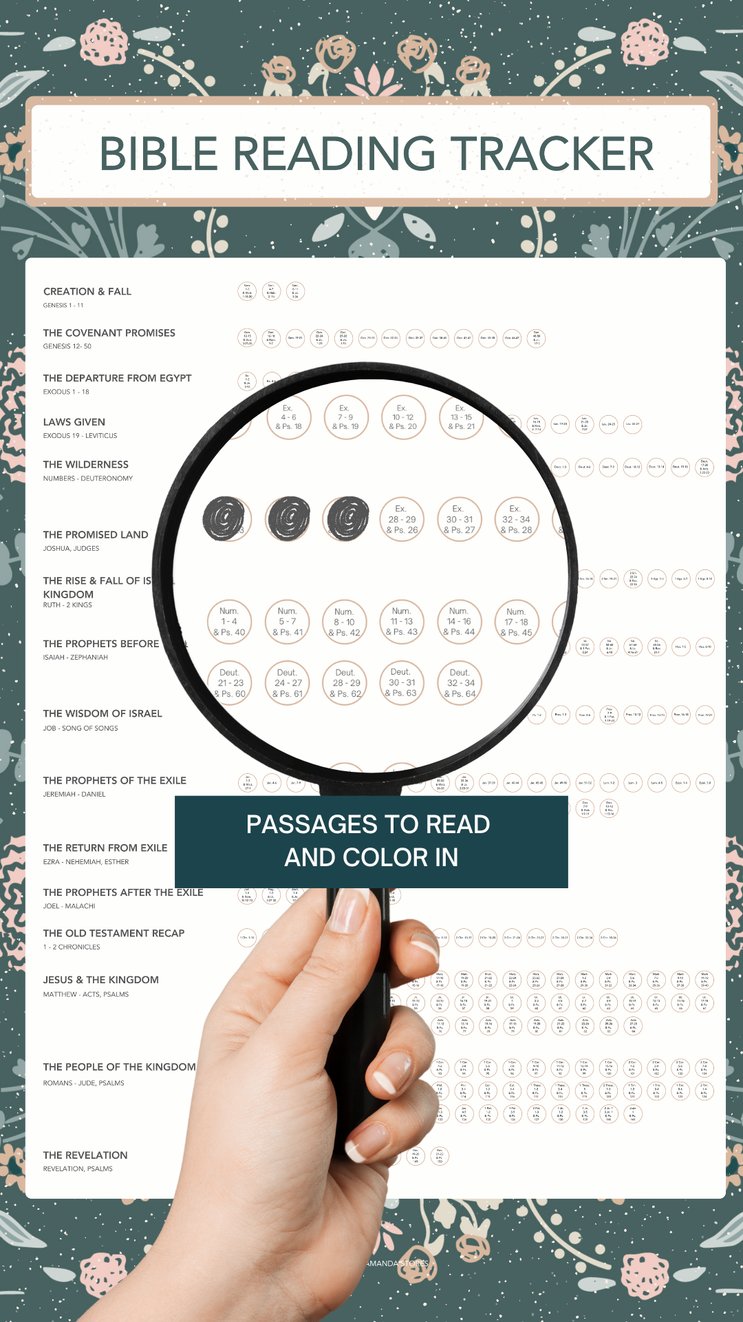 Green Bible Reading Wall Tracker - 20" x 30" - PHYSICAL PRODUCT