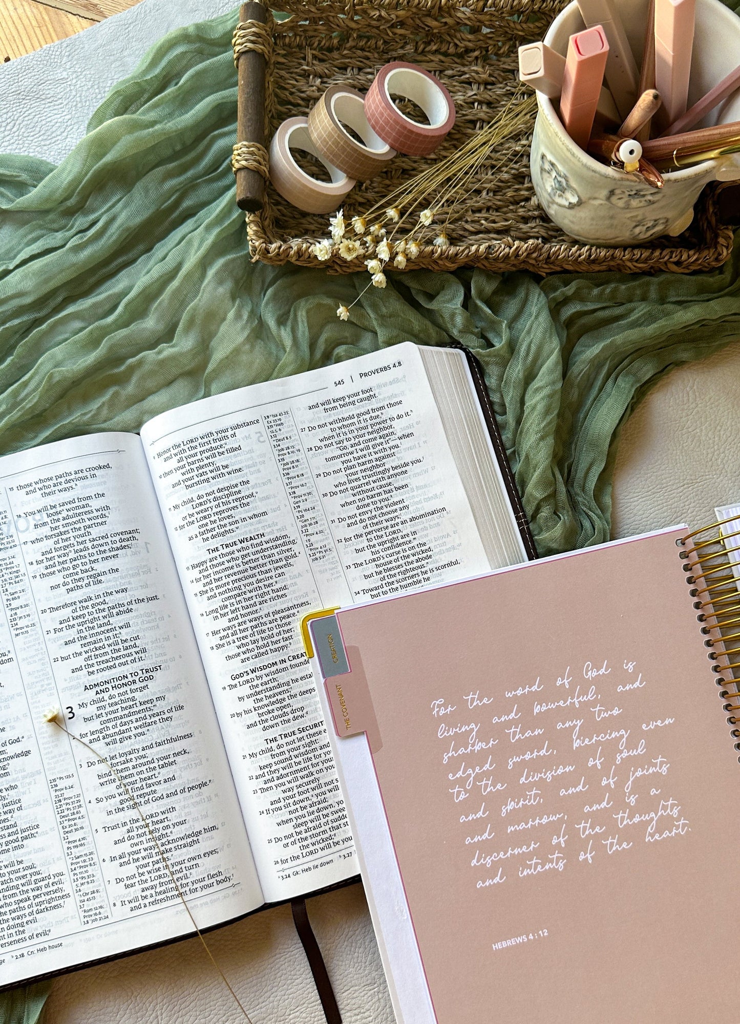 The Cover to Cover Bible Journal Preorder - Get 15% off & Free Gift!